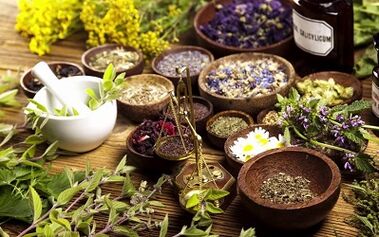 Herbs to increase penis